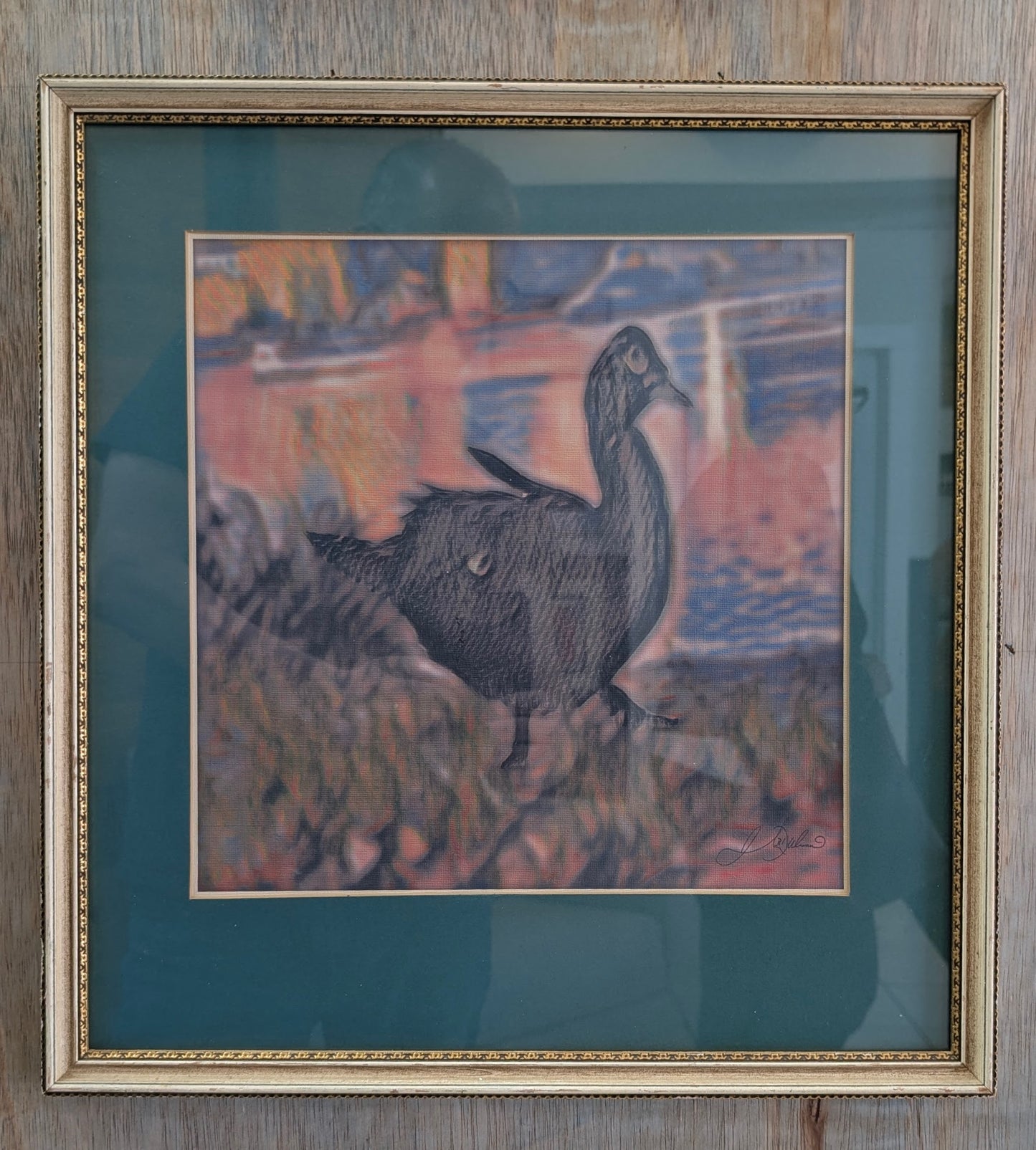 Black Duck Ponder