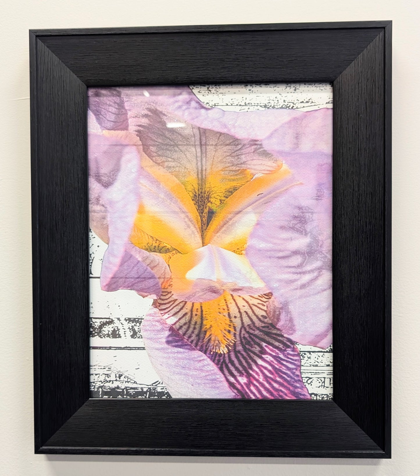 Iris Dream